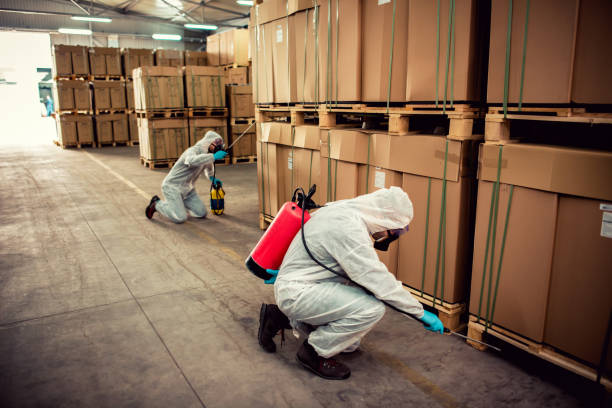 Reliable Cherryvale, SC Pest Control Solutions