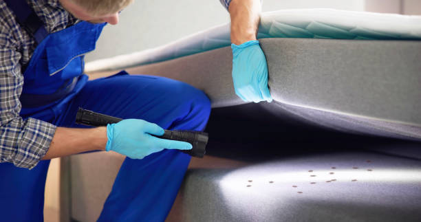 Best Mosquito Control Services  in Cherryvale, SC