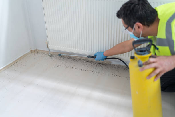 Pest Control for Restaurants in Cherryvale, SC